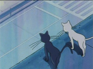SailorMoon-s1-043(180).JPG