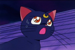 SailorMoon-s1-046(303).jpg