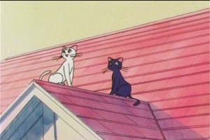 SailorMoon-s1-046(431).jpg