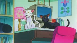 Sailormoon-R (336).jpg