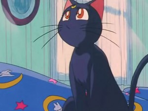 screenshot-anime-sailor-moon-s-episode-091-065.jpg