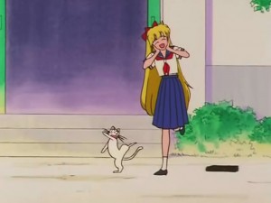 screenshot-anime-sailor-moon-s-episode-100-031.jpg
