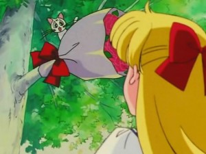 screenshot-anime-sailor-moon-s-episode-100-438.jpg