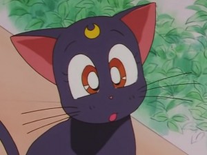 screenshot-anime-sailor-moon-sailor-stars-episode-178-127.JPG