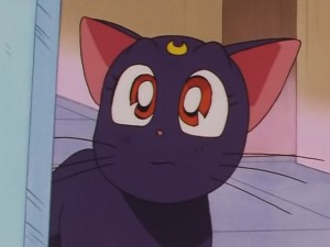 screenshot-anime-sailor-moon-sailor-stars-episode-178-167.JPG