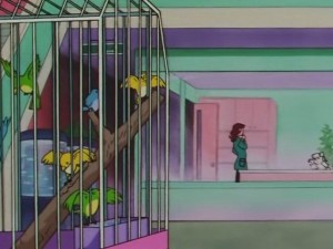 screenshot-anime-sailor-moon-sailor-stars-episode-178-329.JPG