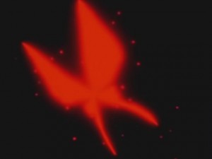 screenshot-anime-sailor-moon-sailor-stars-episode-190-446.jpg