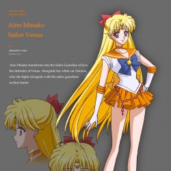 SMC_Minako's_First_Conception.jpg