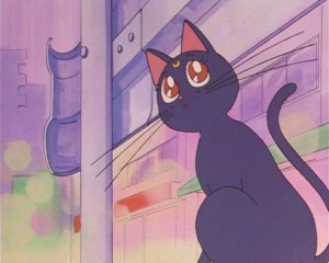 SailorMoon-s1-002(264).JPG