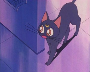 SailorMoon-s1-002(471).JPG