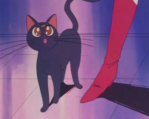 SailorMoon-s1-002(517).JPG