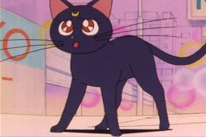 SailorMoon-s1-007(238).jpg