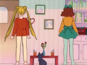 SailorMoon-s1-007(77).jpg