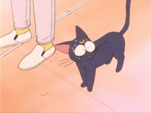 SailorMoon-s1-011(76).jpg