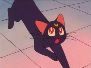 SailorMoon-s1-023(275).jpg