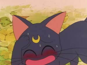 SailorMoon-s1-030(250).JPG
