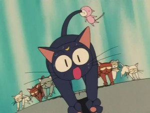 SailorMoon-s1-031(17).JPG