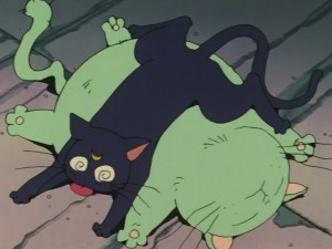 SailorMoon-s1-031(290).JPG