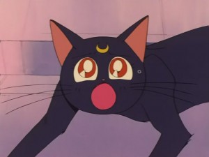 SailorMoon-s1-031(529).JPG