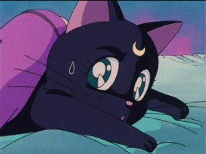 SailorMoon-s1-036(28).jpg