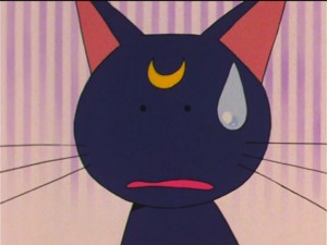 SailorMoon-s1-037(105).jpg