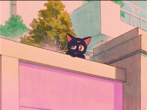 SailorMoon-s1-037(5).jpg