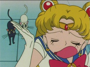 SailorMoon-s1-043(255).JPG