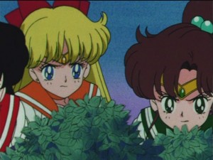 SailorMoon-s1-043(417).JPG