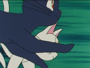SailorMoon-s1-044(30).JPG