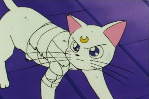 SailorMoon-s1-046(302).jpg