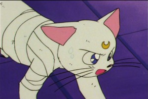 SailorMoon-s1-046(307).jpg