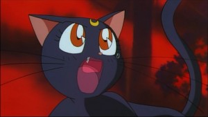 Sailormoon-R (556).jpg