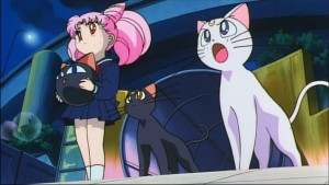 Sailormoon-R (986).jpg