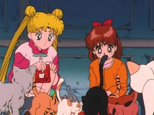 screenshot-anime-sailor-moon-s-episode-091-150.jpg