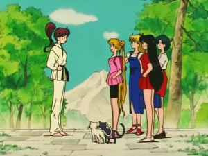 screenshot-anime-sailor-moon-s-episode-105-140.jpg