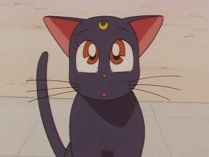 screenshot-anime-sailor-moon-sailor-stars-episode-178-130.JPG