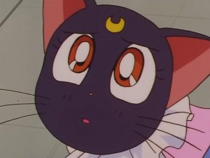 screenshot-anime-sailor-moon-sailor-stars-episode-178-373.JPG