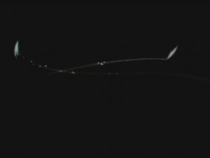 screenshot-anime-sailor-moon-sailor-stars-episode-181-371.JPG