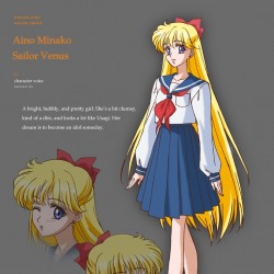 SMC_Minako's_First_Conception (2).jpg