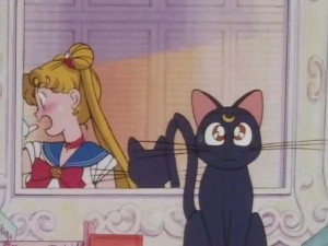 SailorMoon-s1-001(329).jpg