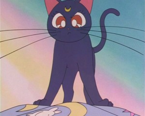 SailorMoon-s1-002(89).JPG