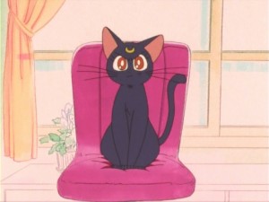SailorMoon-s1-011(15).jpg