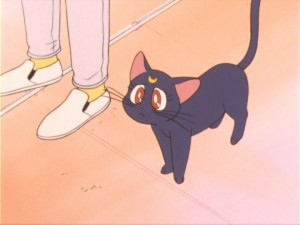 SailorMoon-s1-011(74).jpg