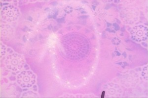 SailorMoon-s1-013(18).JPG