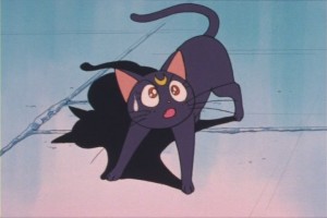 SailorMoon-s1-013(353).JPG