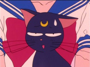 SailorMoon-s1-021(199).jpg