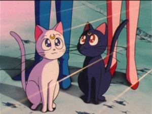 SailorMoon-s1-035(434).jpg
