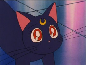SailorMoon-s1-035(8).jpg