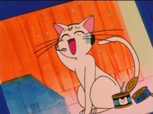 SailorMoon-s1-037(106).jpg