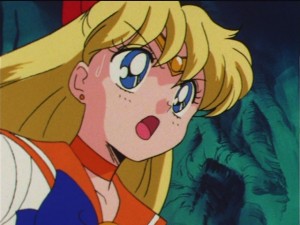 SailorMoon-s1-044(45).JPG